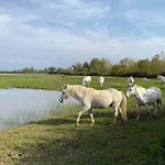 Rouse - Avanti Savoia *